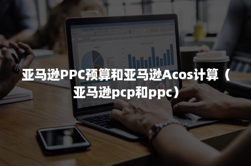 亚马逊PPC预算和亚马逊Acos计算（亚马逊pcp和ppc）