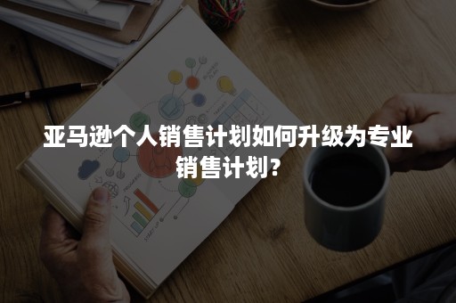 亚马逊个人销售计划如何升级为专业销售计划？