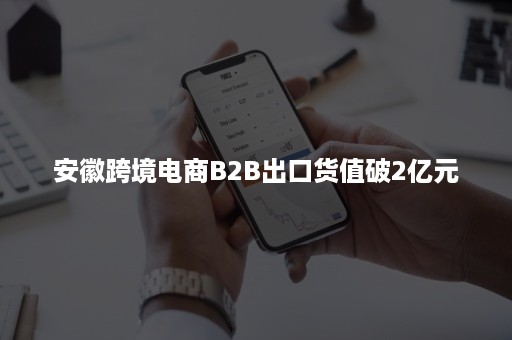 安徽跨境电商B2B出口货值破2亿元