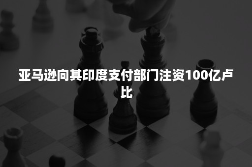 亚马逊向其印度支付部门注资100亿卢比