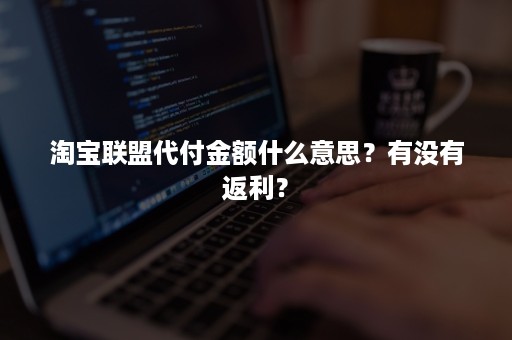 淘宝联盟代付金额什么意思？有没有返利？