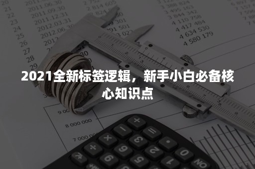 2021全新标签逻辑，新手小白必备核心知识点