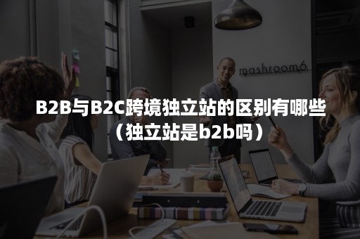 B2B与B2C跨境独立站的区别有哪些（独立站是b2b吗）