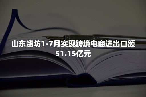 山东潍坊1-7月实现跨境电商进出口额51.15亿元