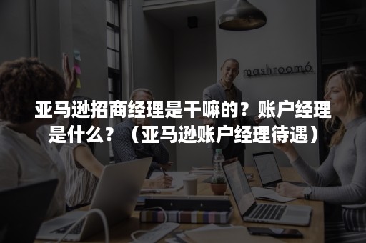 亚马逊招商经理是干嘛的？账户经理是什么？（亚马逊账户经理待遇）