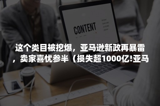 这个类目被挖爆，亚马逊新政再暴雷，卖家喜忧参半（损失超1000亿!亚马逊封号5万中国商家,有人一夜破产）