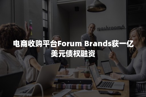 电商收购平台Forum Brands获一亿美元债权融资