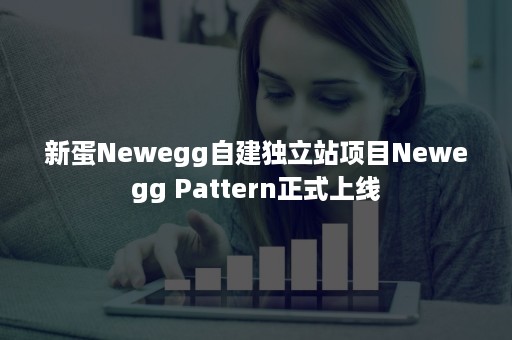 新蛋Newegg自建独立站项目Newegg Pattern正式上线