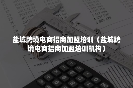 盐城跨境电商招商加盟培训（盐城跨境电商招商加盟培训机构）