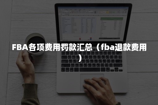 FBA各项费用罚款汇总（fba退款费用）