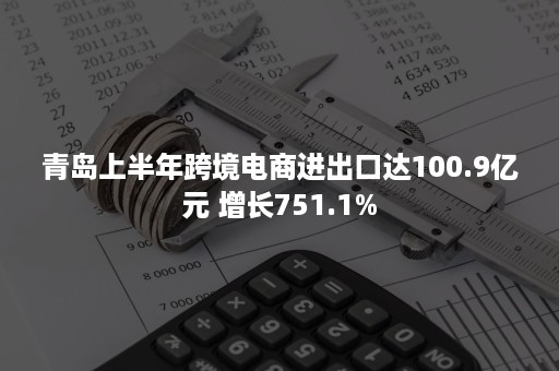 青岛上半年跨境电商进出口达100.9亿元 增长751.1%