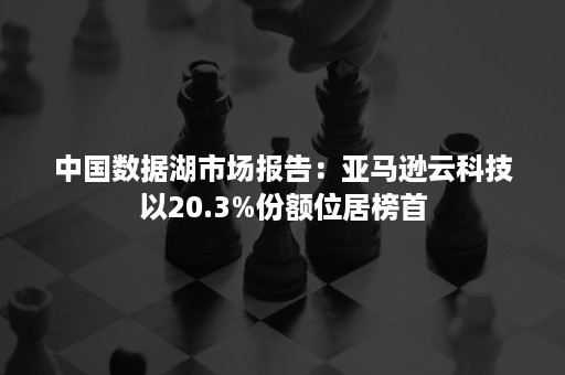 中国数据湖市场报告：亚马逊云科技以20.3%份额位居榜首