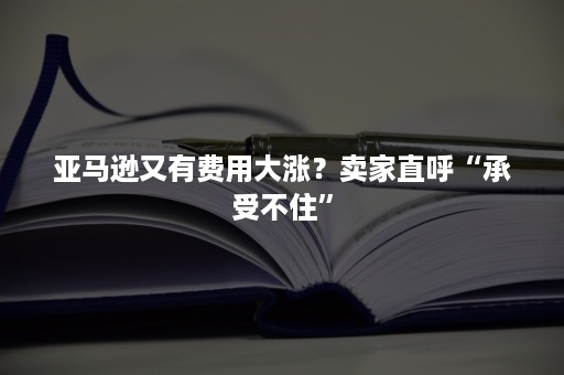 亚马逊又有费用大涨？卖家直呼“承受不住”