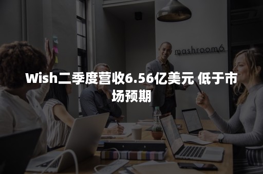 Wish二季度营收6.56亿美元 低于市场预期