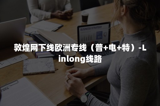 敦煌网下线欧洲专线（普+电+特）-Linlong线路