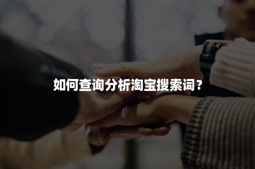 如何查询分析淘宝搜索词？