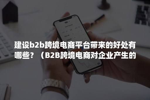 建设b2b跨境电商平台带来的好处有哪些？（B2B跨境电商对企业产生的影响）