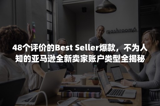 48个评价的Best Seller爆款，不为人知的亚马逊全新卖家账户类型全揭秘