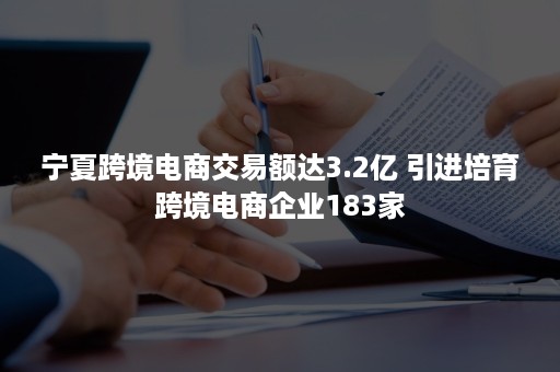 宁夏跨境电商交易额达3.2亿 引进培育跨境电商企业183家