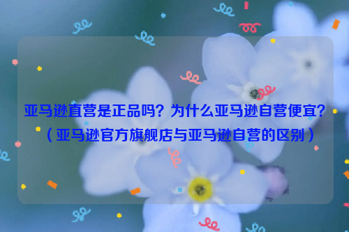 亚马逊直营是正品吗 为什么亚马逊自营便宜 亚马逊官方旗舰店与亚马逊自营的区别 资讯中心 班牛